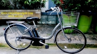 Xe đạp điện trợ lực Nhật : Bridgestone: Assista