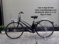 Xe đạp điện trợ lực : Pas City M