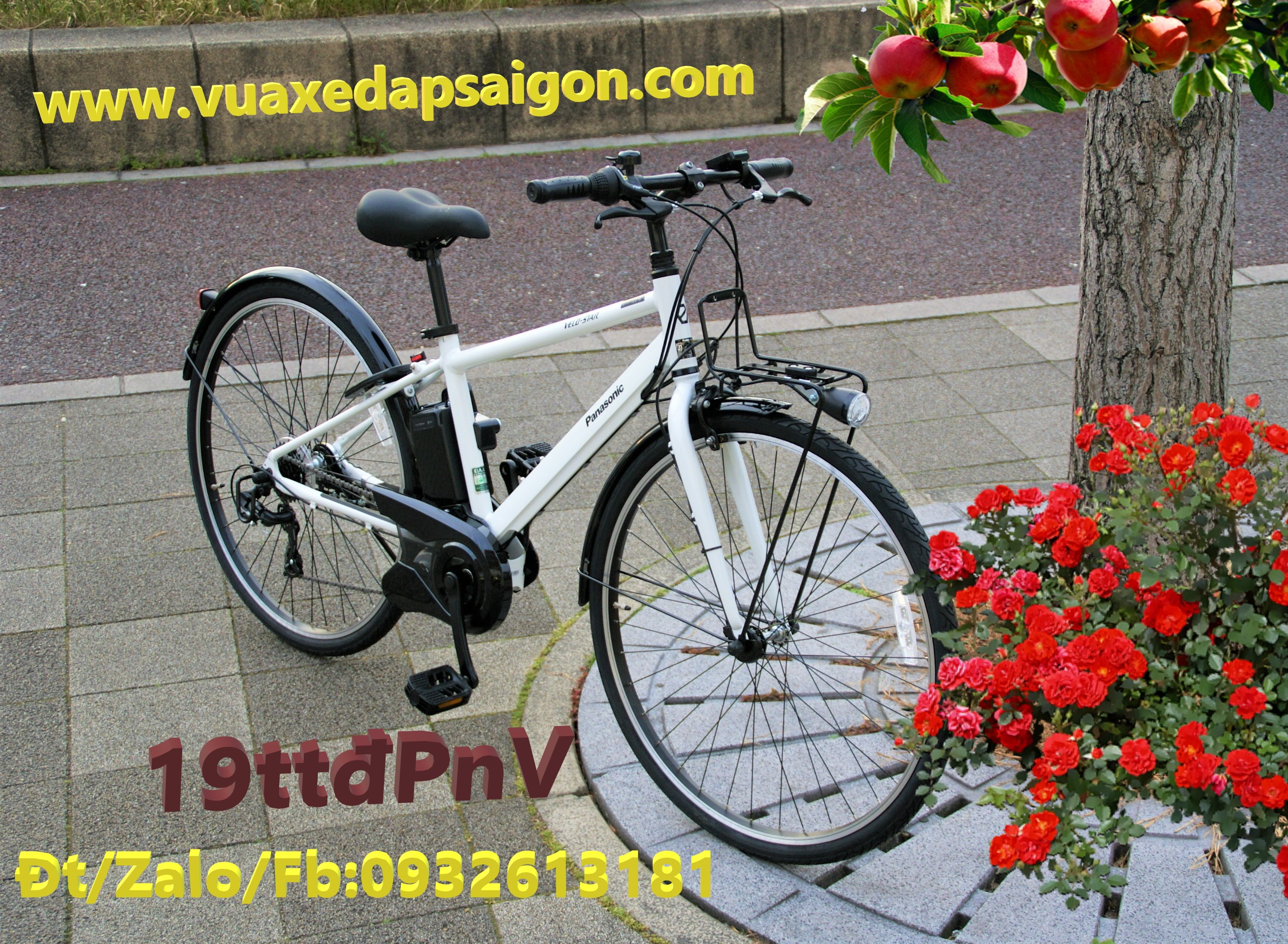 Xe đạp thể thao , điện trợ lực Panasonic Velo star
