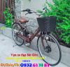 Xe đạp điện trợ lực Eva - anh 3 Xe đạp điện trợ lực Eva - anh 3