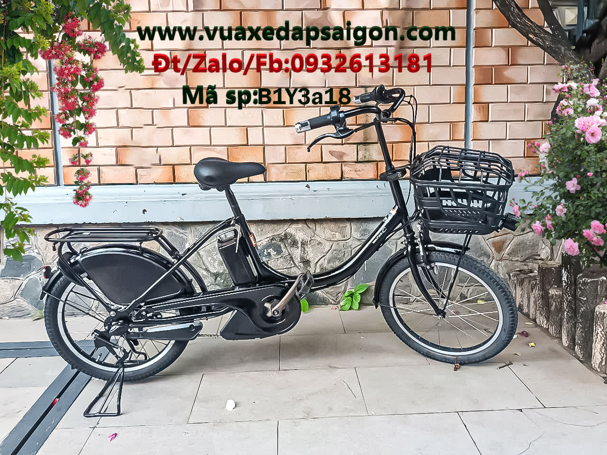 Xe đạp điện Nhật bãi ,lên tay ga Pas Xe đạp điện Nhật bãi ,lên tay ga Pas