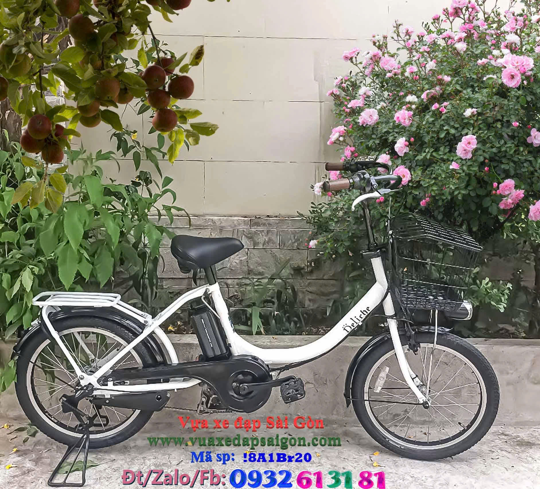 Xe đạp điện trợ lực Nhật DELICHE Babby Xe đạp điện trợ lực Nhật DELICHE Babby
