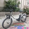 Xe đạp điện trợ lực Nhật DELICHE Babby - anh 3 Xe đạp điện trợ lực Nhật DELICHE Babby - anh 3