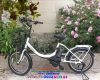Xe đạp điện trợ lực Nhật DELICHE Babby - anh 4 Xe đạp điện trợ lực Nhật DELICHE Babby - anh 4