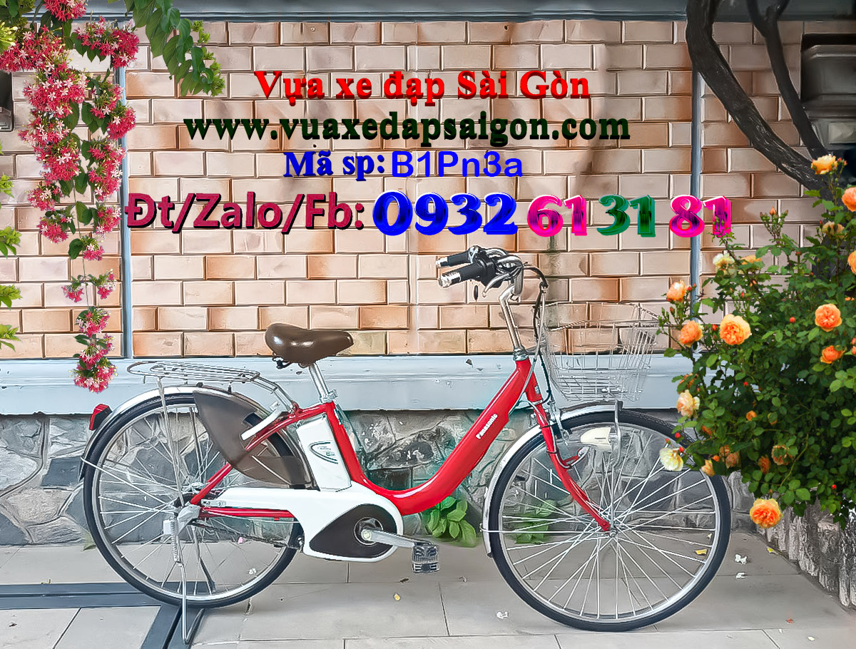 Xe đạp trợ lực Nhật nâng cấp tay ga: Panasonic Xe đạp trợ lực Nhật nâng cấp tay ga: Panasonic