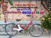 Xe đạp trợ lực Nhật nâng cấp tay ga: Panasonic - anh 1 Xe đạp trợ lực Nhật nâng cấp tay ga: Panasonic - anh 1