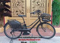 XE ĐẠP TRỢ LỰC ĐIỆN  NHẬT  BRIGESTONE HYDEE II